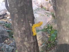 -安徽天堂寨风景区