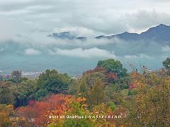 -塔川景区