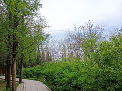-大连植物园