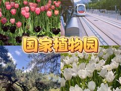 -国家植物园