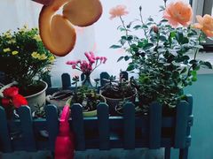 -中关村茶点