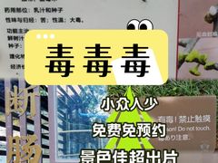 -广州神农草堂中医药博物馆
