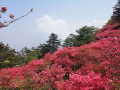 -木兰云雾山