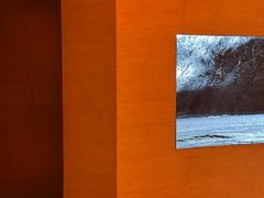 -舒小悦·舒养SPA·古法推拿(光环中心店)