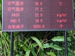-西双版纳原始森林公园