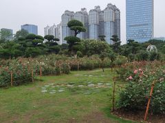 -南宁南湖公园