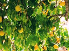 -李叔同故居纪念馆