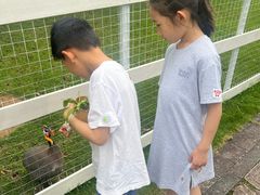 -宁波九龙湖开元度假村