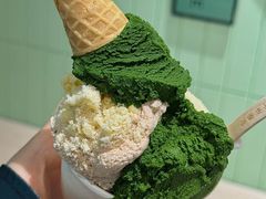 -鹤茶野所(上海首店)