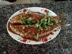 酱焖河鱼-可心烤鱼