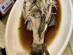 -王厚元饺子·辽菜(浑南店)