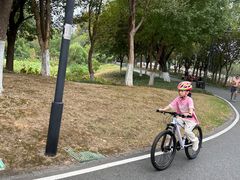 -东湖落雁景区