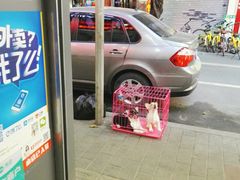 -咕噜咕噜·章鱼小丸子(广州荔湾领展广场店)