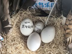 -广州长隆飞鸟乐园