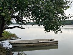 -华侨城湿地公园