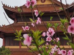 -福济寺