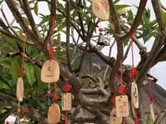 -三亚亚龙湾希尔顿酒店