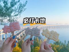 -星海湾跨海大桥