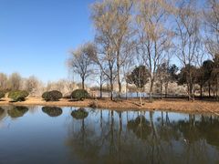 -西安浐灞国家湿地公园