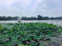 -沈阳市东陵公园