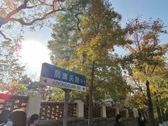 -八大关景区