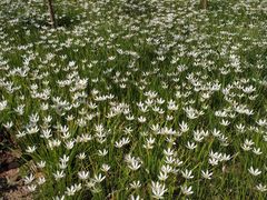 -上海海事大学(临港校区)