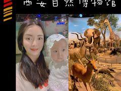 -陕西自然博物馆