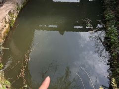 -沣峪森林公园龙潭戏水景区