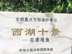-西湖外事游船(花港观鱼码头)
