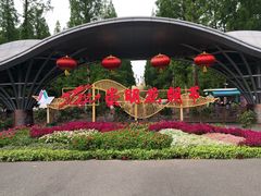 -东平国家森林公园