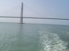 -招商蛇口邮轮母港(观光客运)