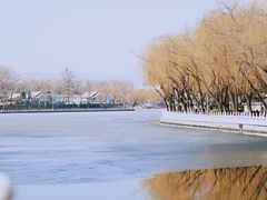 -萤火虫咖啡(后海店)