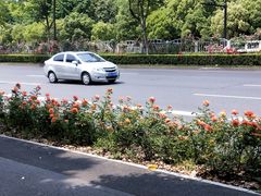 -杨高南路(地铁站)