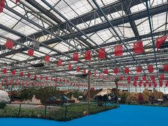 -兰陵国家农业公园