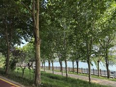 -淇河国家湿地公园