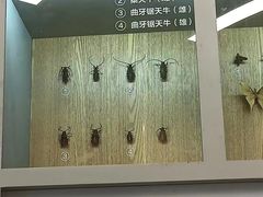 -下渚湖国家湿地公园科普馆