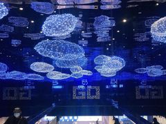 -盒马X会员店(上海森兰商都店)