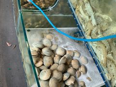 -蟹谢蒸鲜自助餐厅