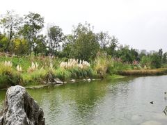 -桂溪生态公园