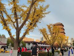 -西安汉城湖景区