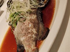 荷叶蒸老虎斑-三号黄浦会Canton Table