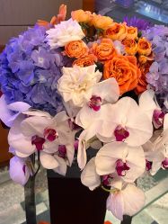 -金茂深圳JW万豪酒店·宴会厅