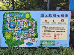 -广州长隆飞鸟乐园