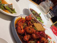 -杨氏青龙虾·羊蝎子(托乐嘉店)