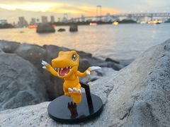 -台场海滨公园船码头
