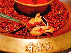 -哥老官重庆美蛙鱼头(宝山龙湖店)