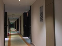 -河源万绿湖美思威尔顿酒店