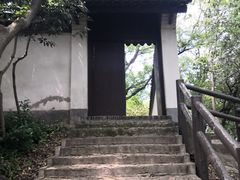 -上海佘山国家森林公园天马山园