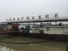 -大湾区中央湿地公园-十九涌