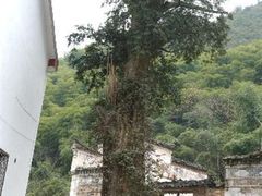 -山沟沟景区